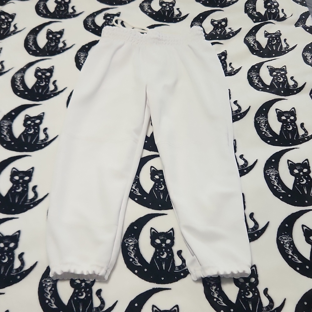 Youth size Large baseball pants